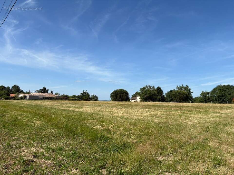 Terrain à VACQUIERS