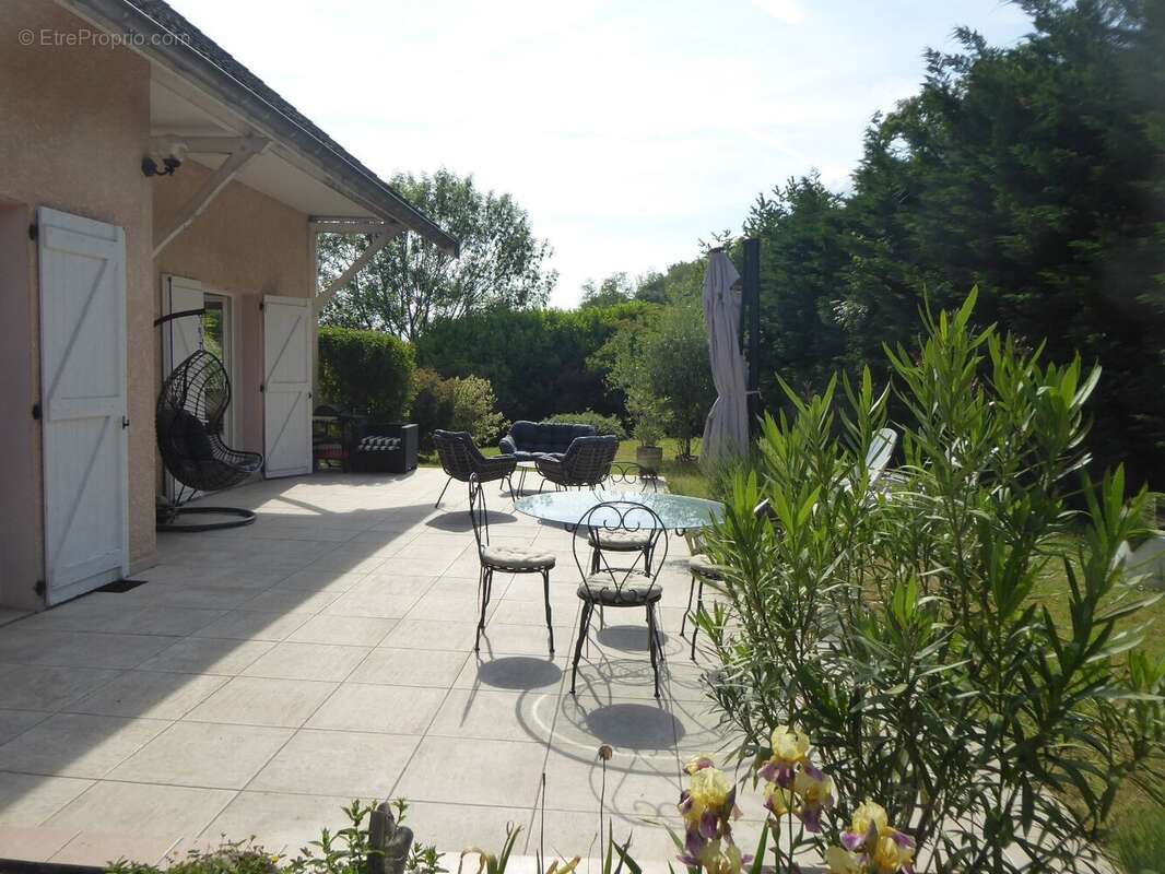 Maison à TREPT