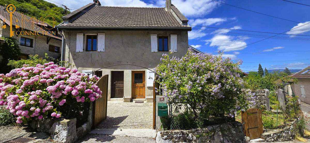 Maison à SEYSSEL