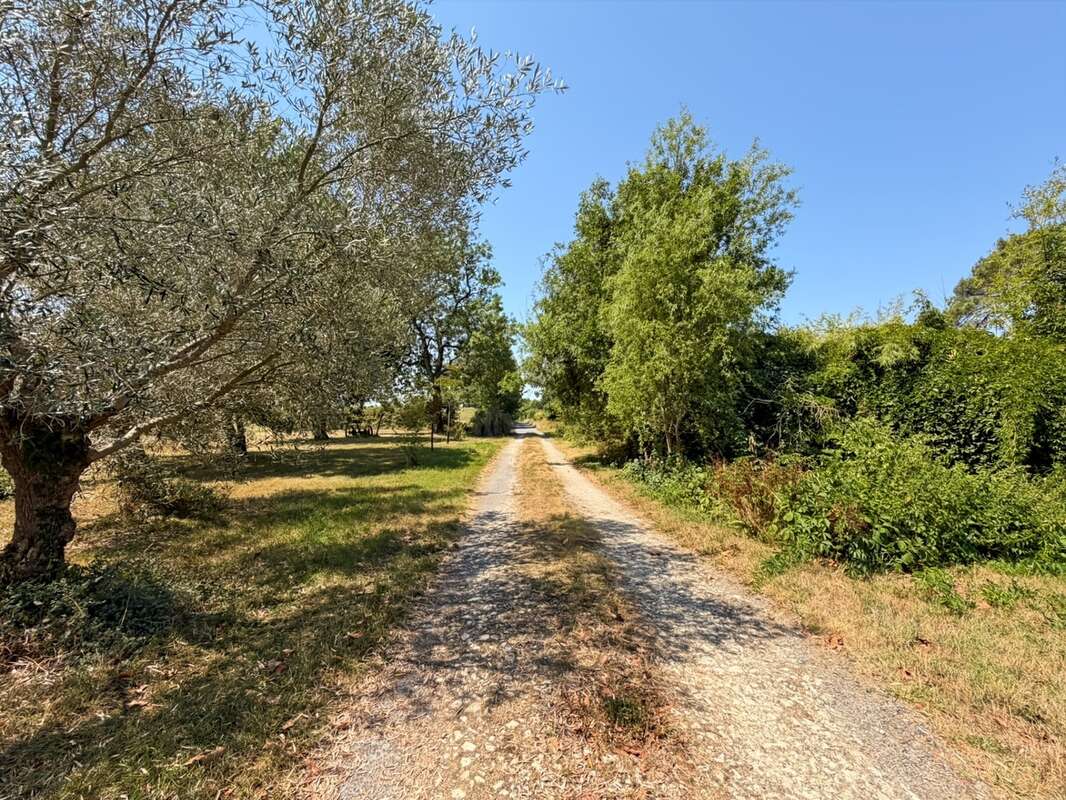 Propriété à vendre 12 pièces Margouët-Meymes (32290) - photo 37