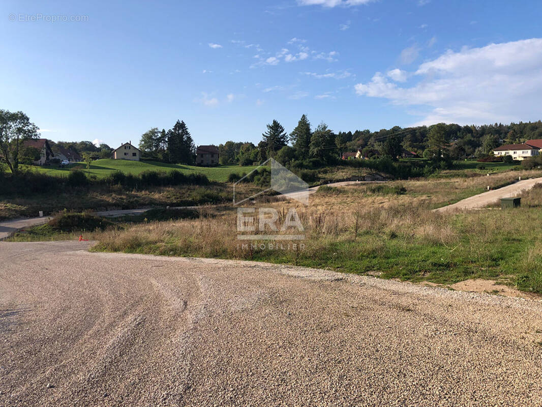 Terrain à L&#039;HOPITAL-DU-GROSBOIS
