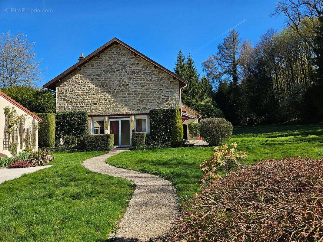 Magnifique propriété arborée au coeur d'Epinal - photo 16