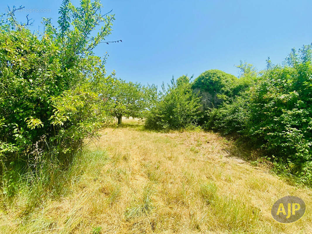 Maison à COUQUEQUES