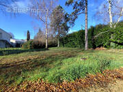 Terrain à SAINT-BENOIT