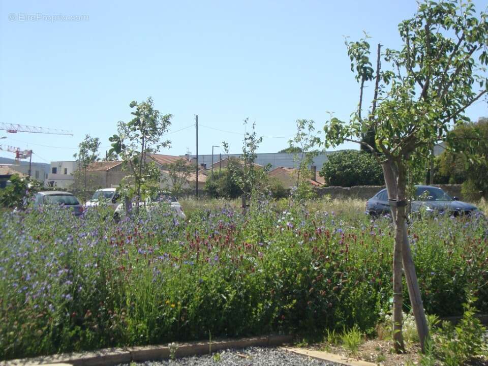 Terrain 255 m² à Hyeres  - photo 3