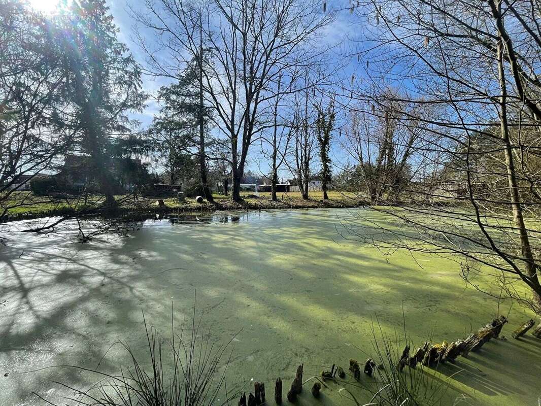 Maison à LA FERTE-SAINT-CYR