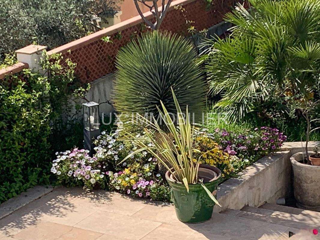 Beaucaire / villa contemporaine de 250m² - - photo 2