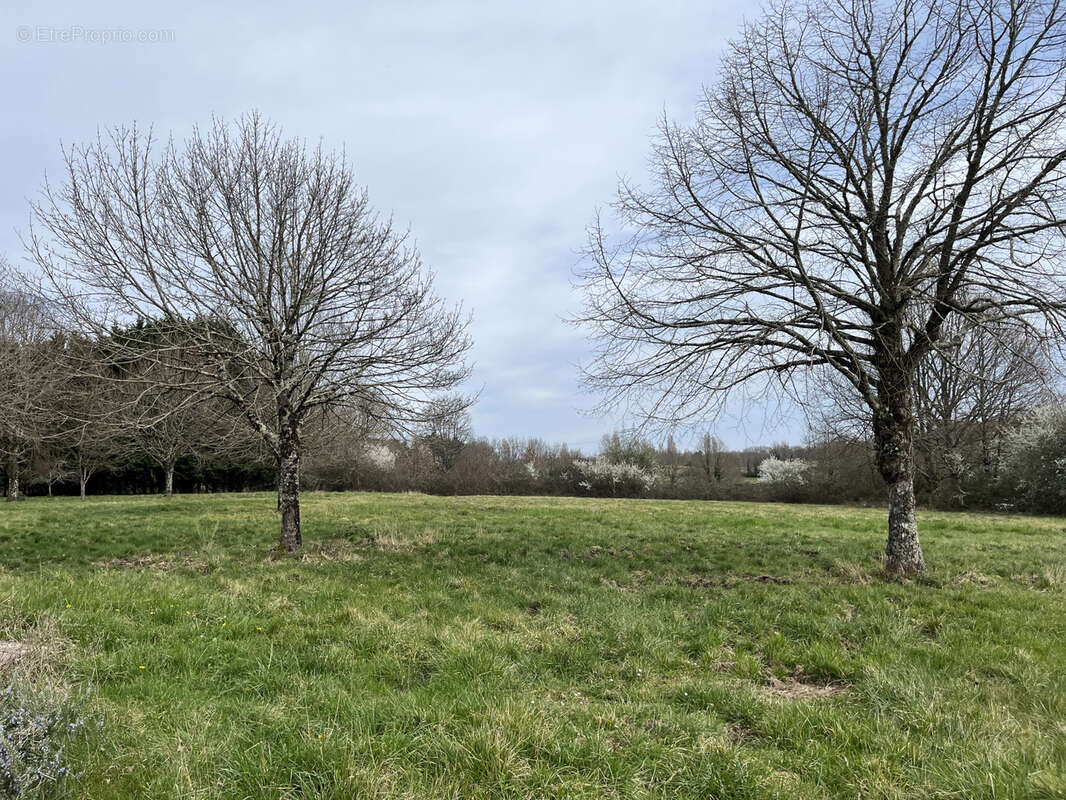 Maison à VILLAMBLARD