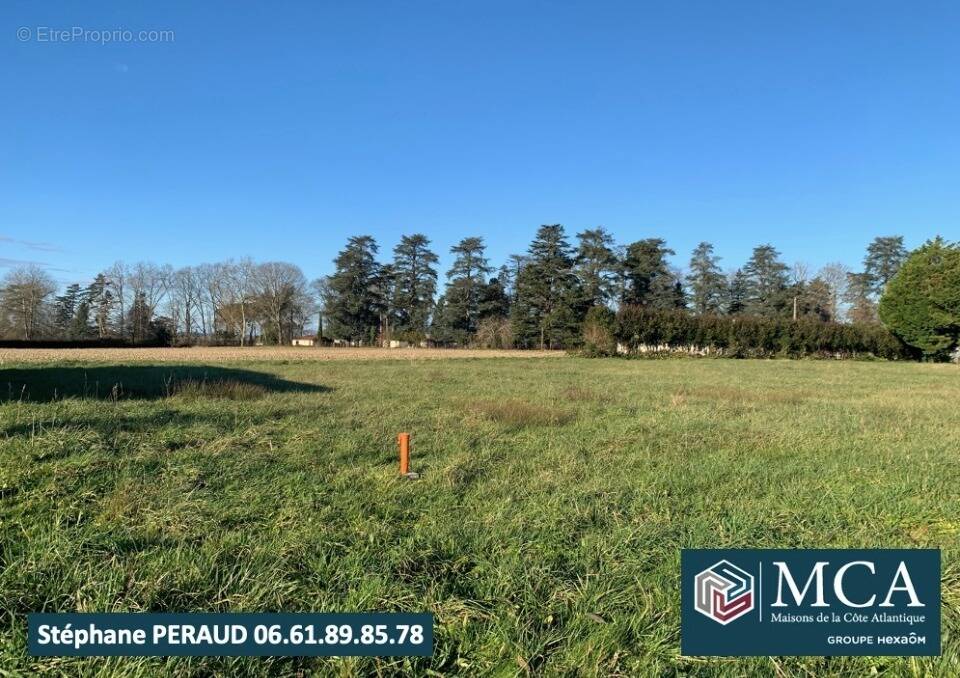 Terrain 650 m² à Labastide-Villefranche  - photo 1