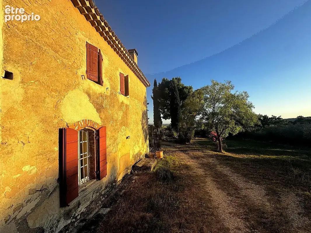Demeure oliviers verger et vignes - photo 9