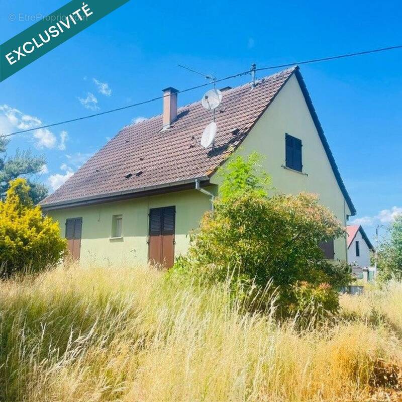 Photo 1 - Maison à MEYENHEIM