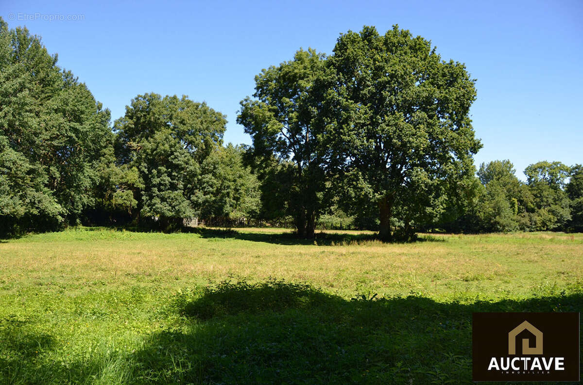 Manoir de caractère à Alençon ? 3,5 ha, fenêtres à meneaux, maison d'amis, 6 chambres - photo 7
