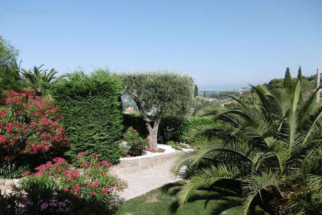 Maison à MOUGINS