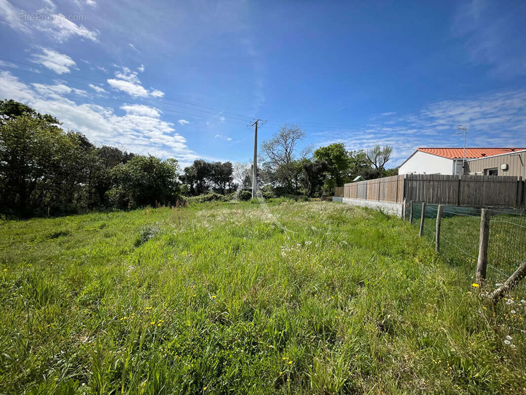 Terrain à AVRILLE