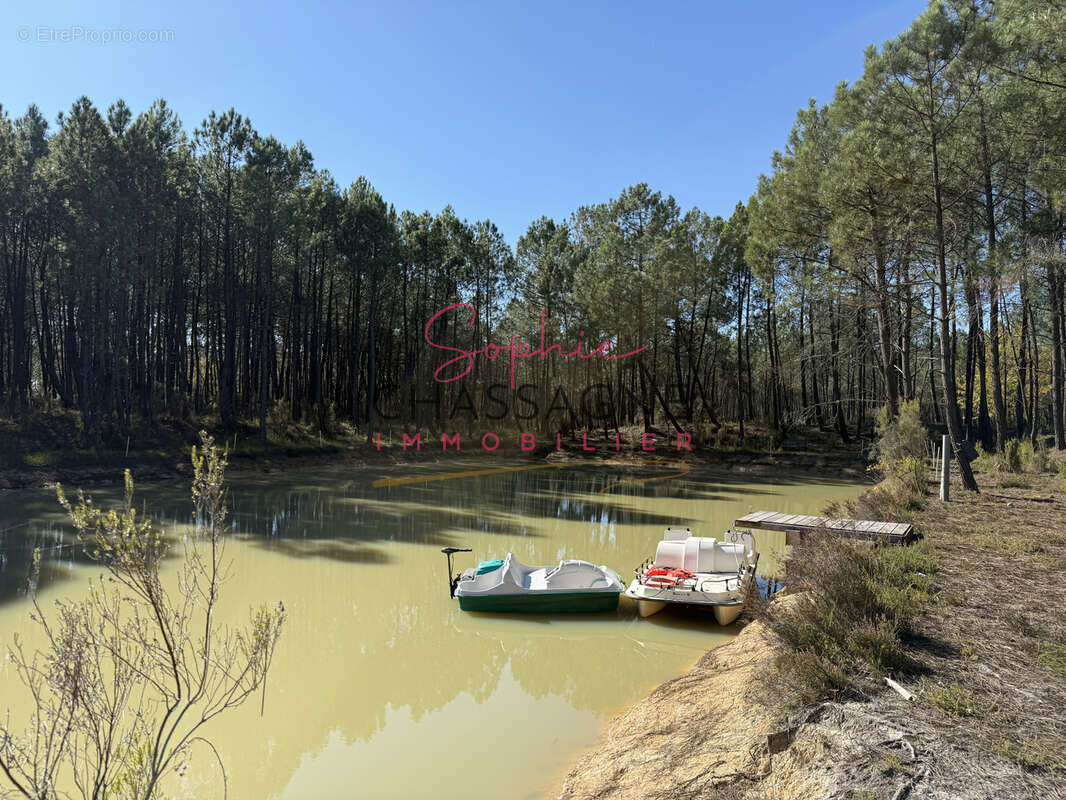 À 30 minutes de Bordeaux et 45 minutes d’Arcachon, domaine avec 2 étangs sur 15 hectares - photo 8