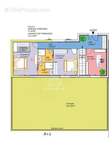 Maison 164 m² à Sisco  - photo 4