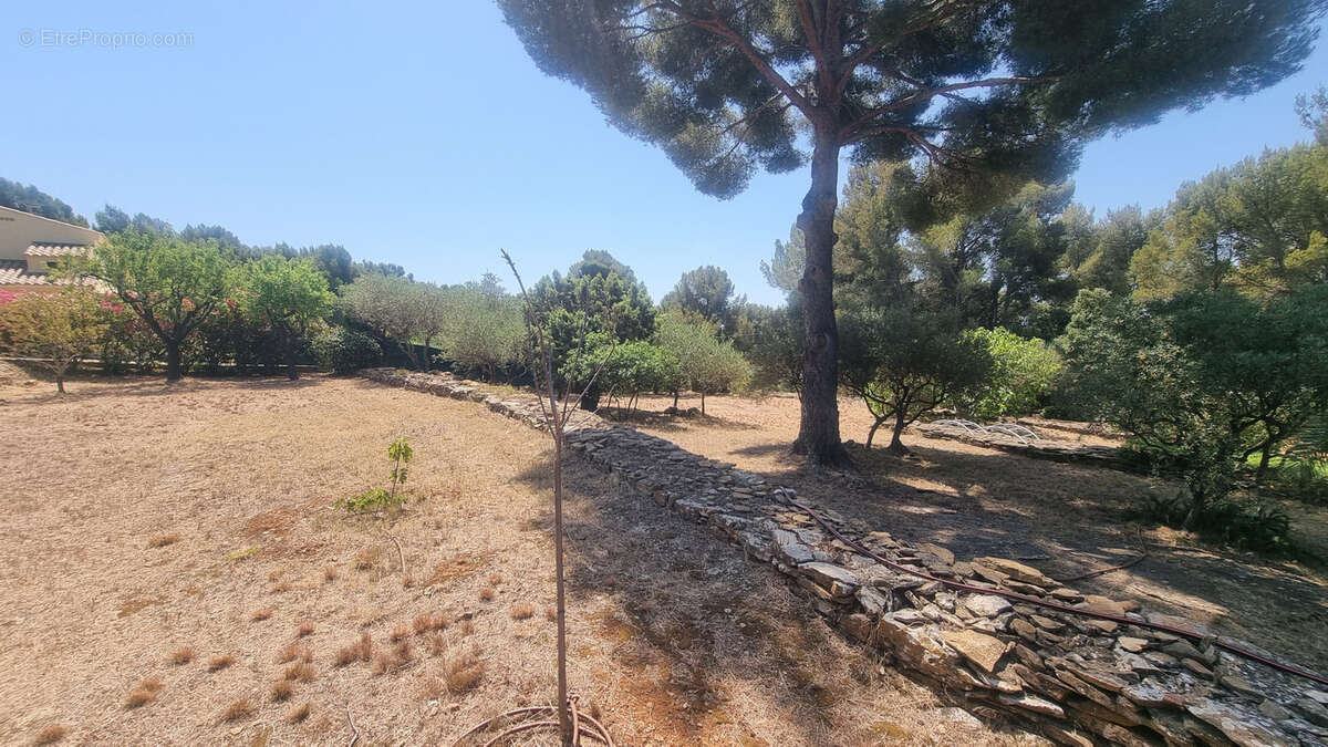 LA CIOTAT VUE MER   Quartier du Baguier   Propriété d'exception avec vue mer - photo 8