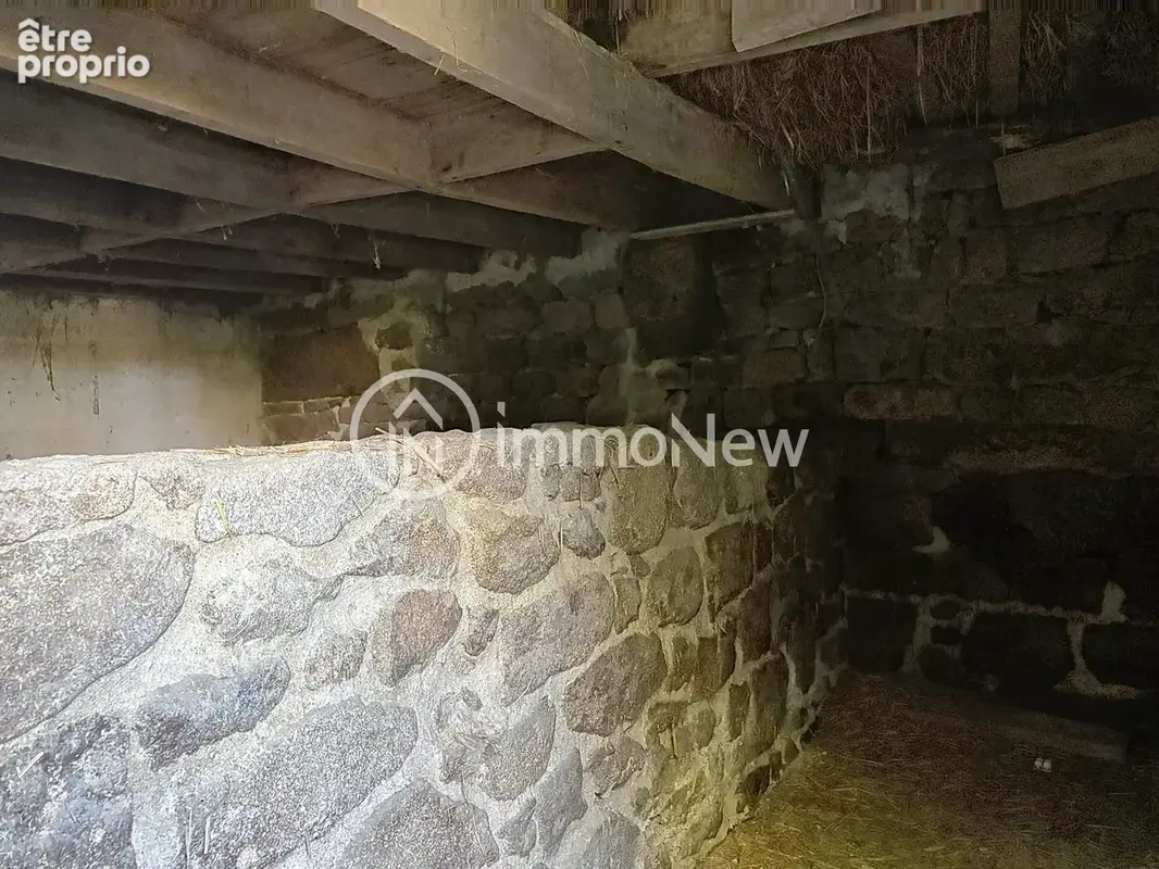 Longere 150 m2 au sol a renover sur terrain 3000 m2 environ apres bornage - photo 4