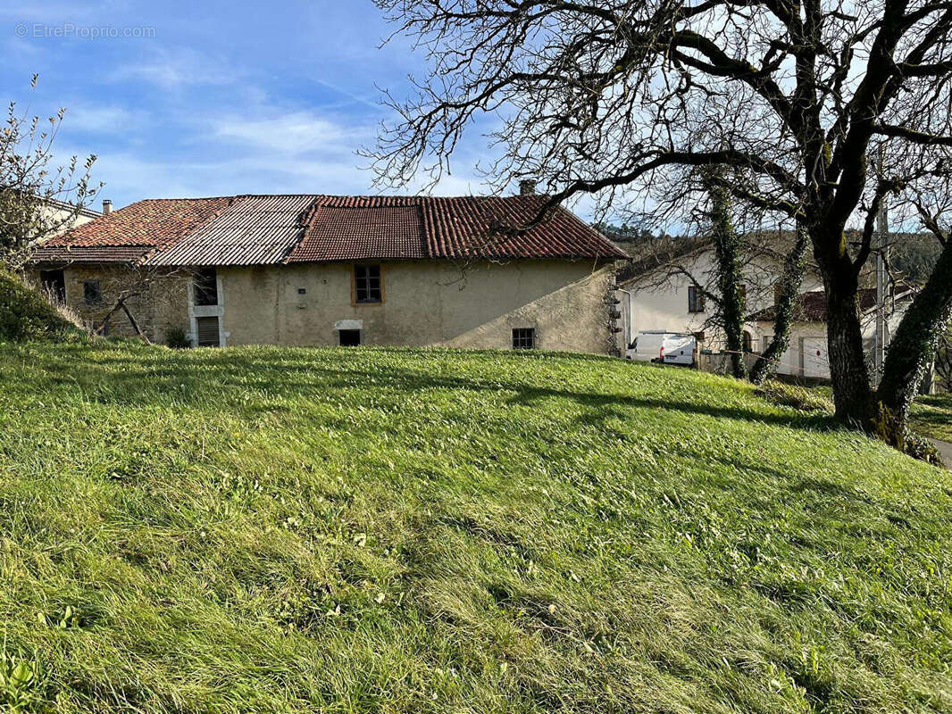 Maison à MONTAGNA-LE-TEMPLIER