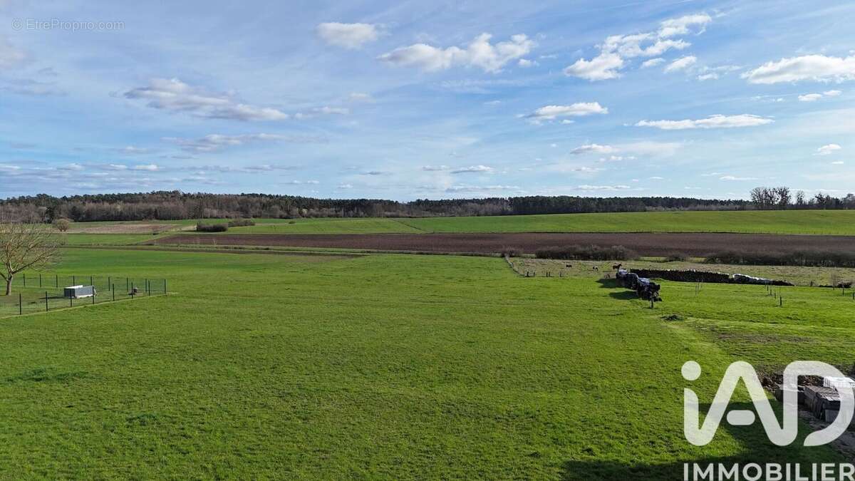 Photo 4 - Terrain à REHAINCOURT