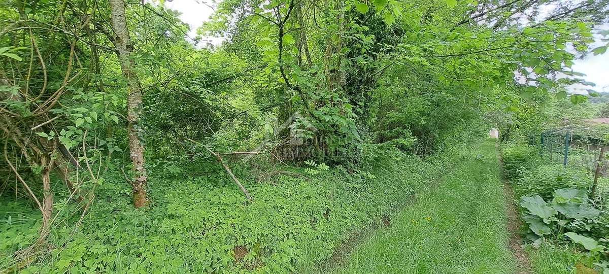 Terrain à PONT-A-MOUSSON