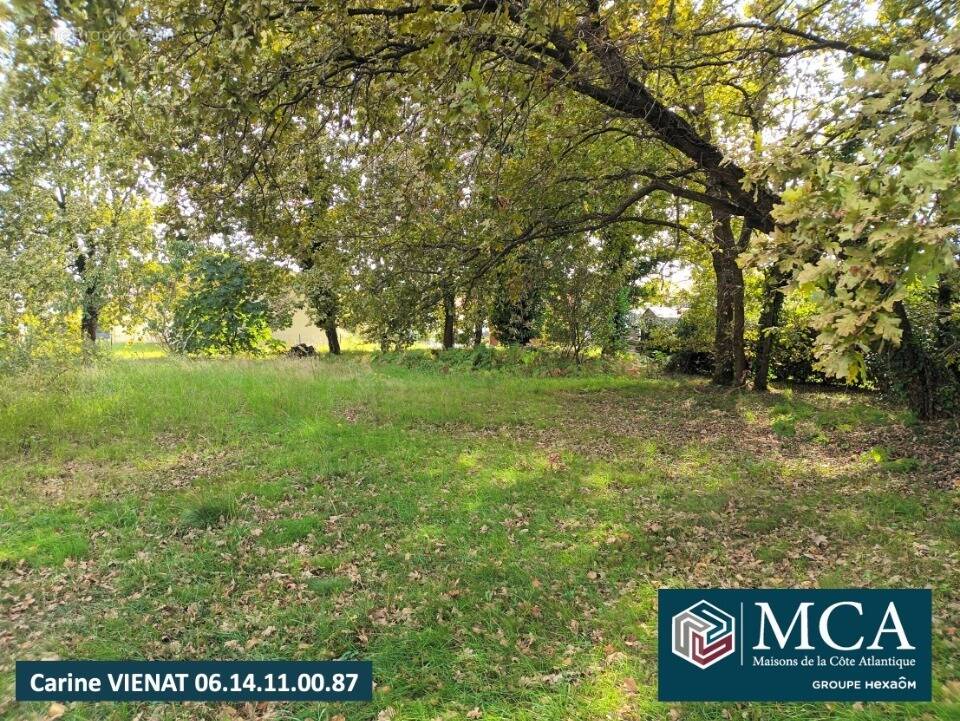 Terrain à BISCARROSSE
