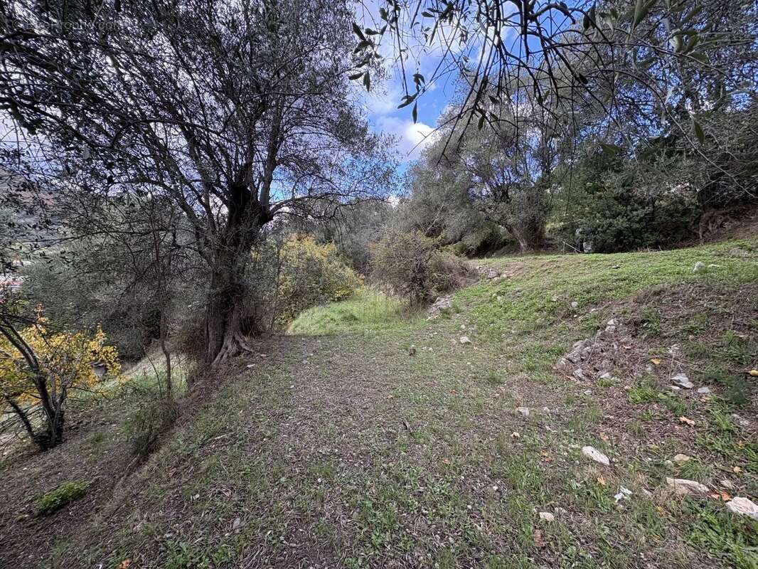Appartement à SAINT-MARTIN-DU-VAR