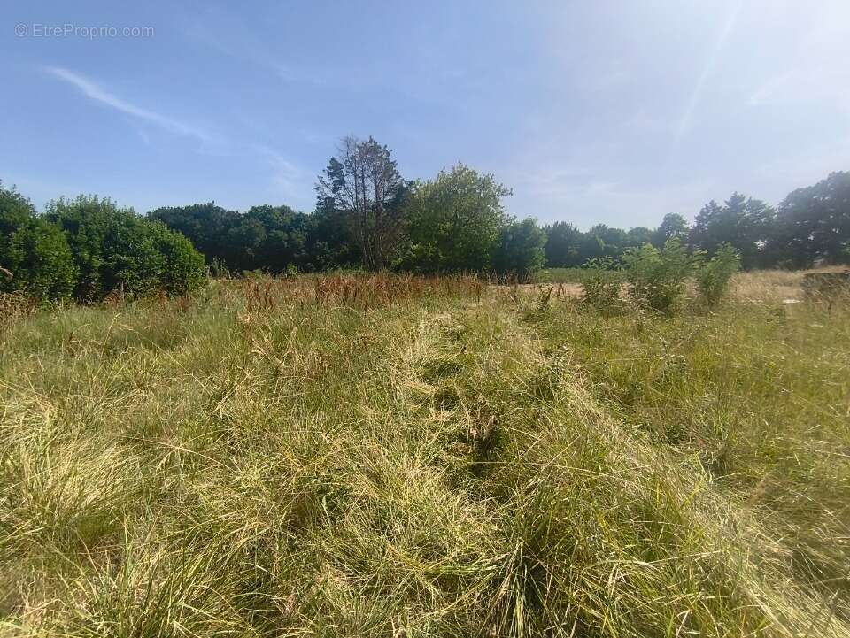 Terrain à MEDIS