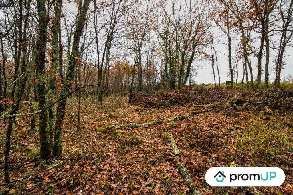 Terrain à VILLEMUR-SUR-TARN