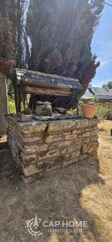 Le calme de la campagne ! - photo 9