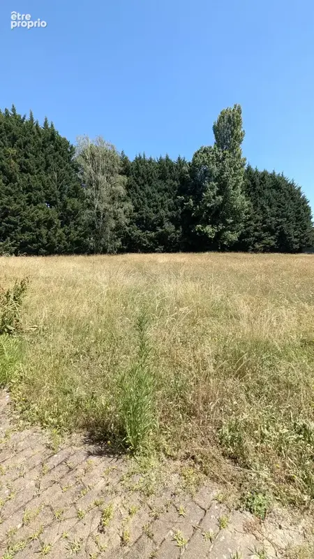 Commerce 865 m² à vendre à Nordhouse (67150) - photo 3