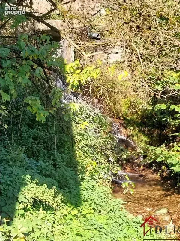Ferme au coeur des hauteurs   charme, nature et sérénité - photo 18