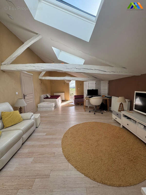 Maison 397 m² à Saramon  - photo 3
