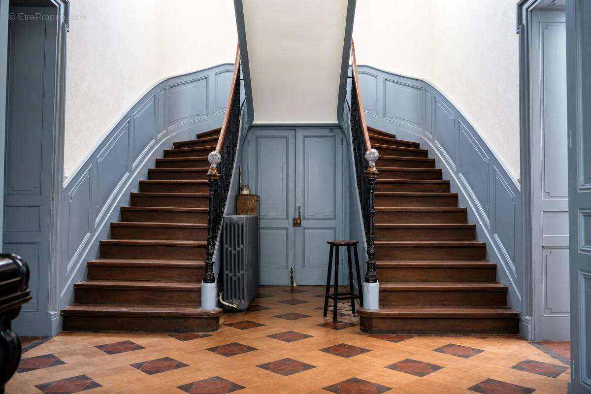 Maison de 360 m² à Neuville-sur-Ain - photo 2