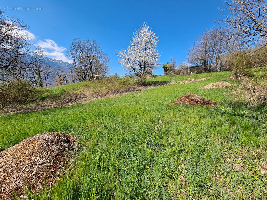 Terrain à LE CHEYLAS