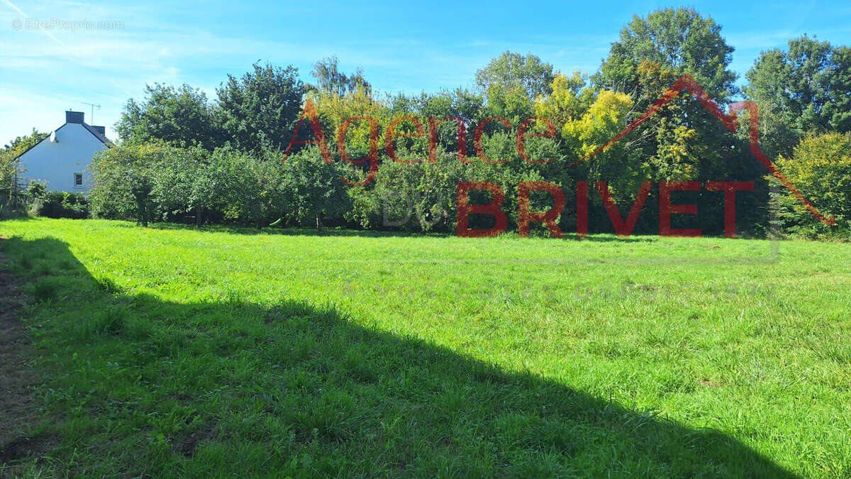 Terrain à PONTCHATEAU