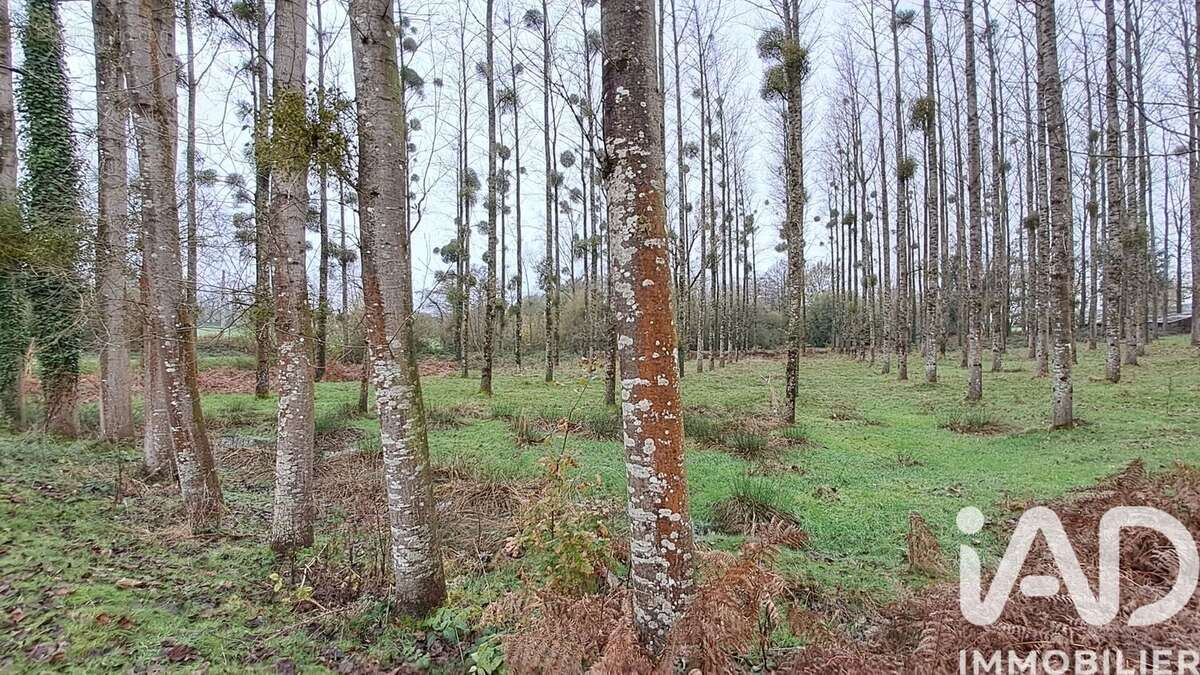 Photo 3 - Terrain à LE GOURAY