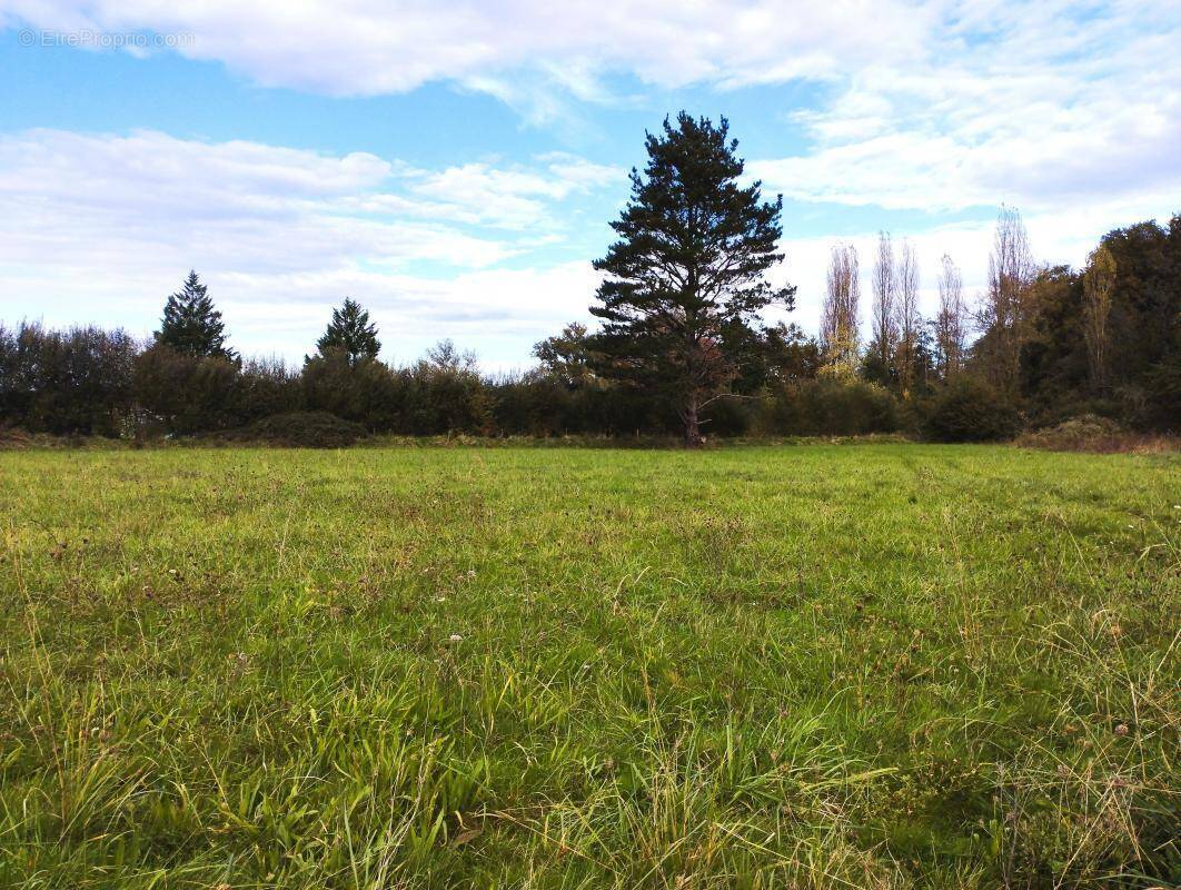 Terrain à SAINTE-COLOMBE