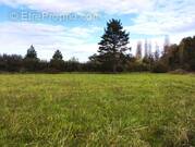 Terrain à SAINTE-COLOMBE