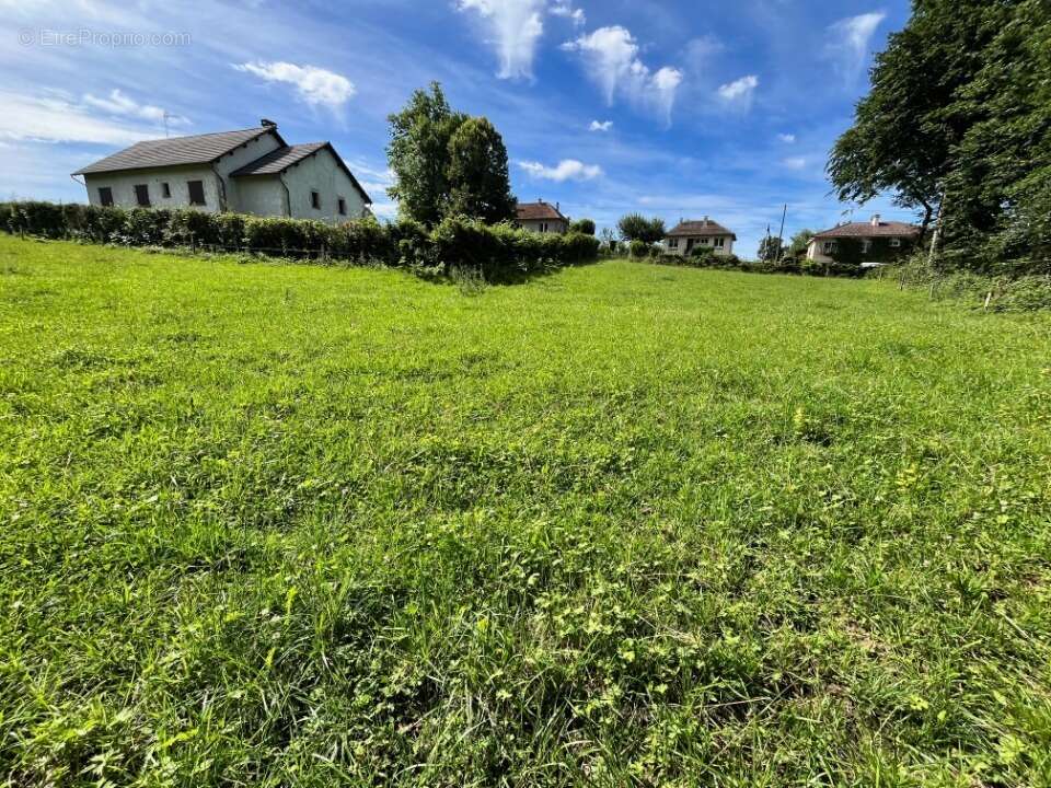 Terrain à ROANNES-SAINT-MARY