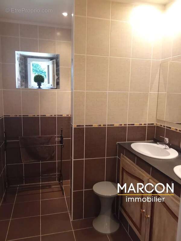 Maison 289 m² à Ajain  - photo 13