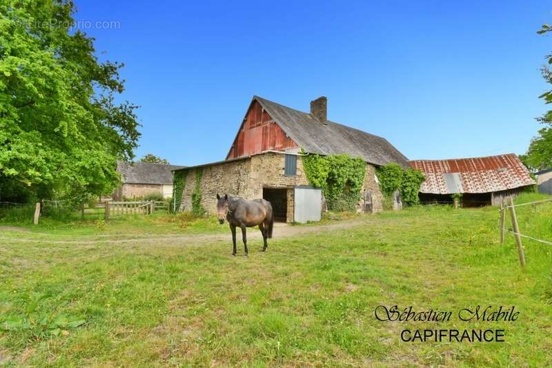 Maison à SAINT-AUBIN-DE-TERREGATTE