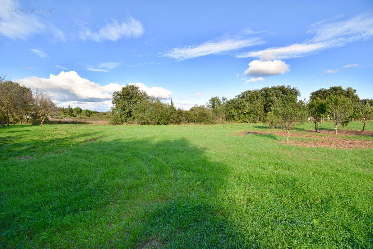 Terrain à POUZILHAC