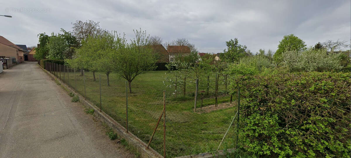 Terrain à RINGENDORF