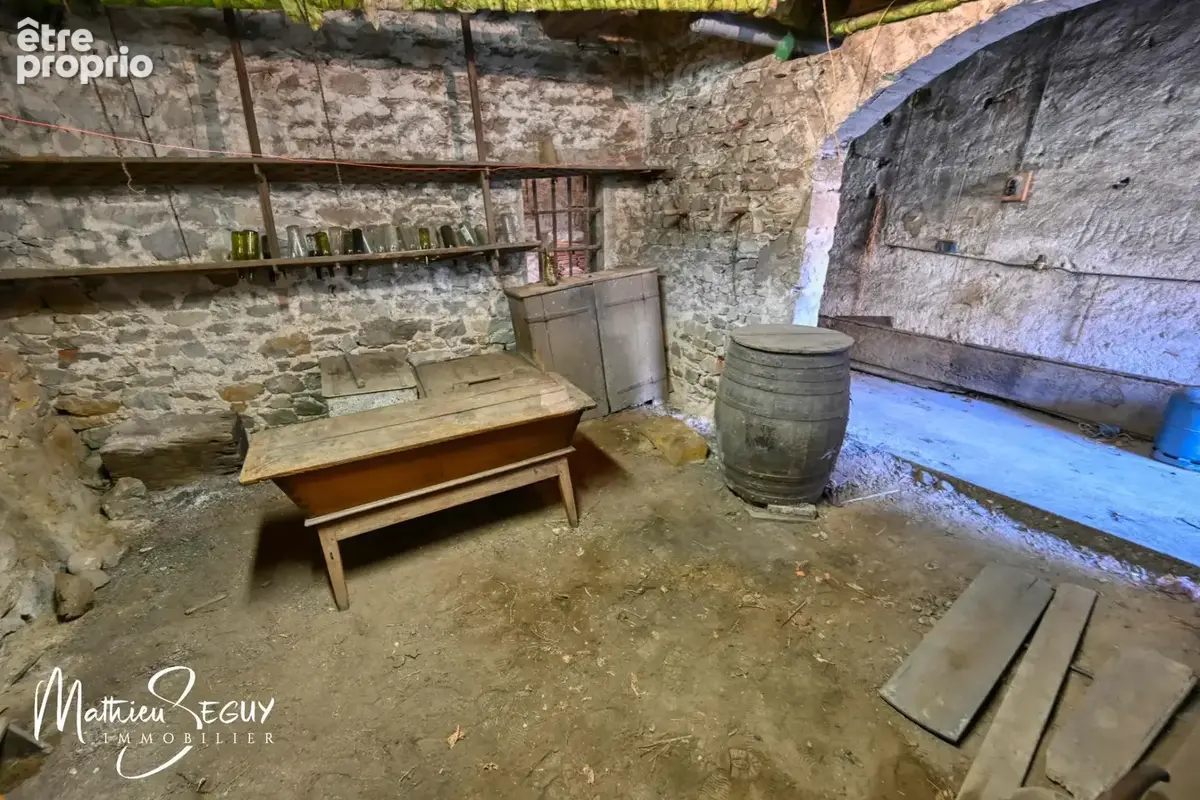 MILLERY – Beau potentiel pour cette maison P7 avec jardin, sous-sol et dépendances - photo 34