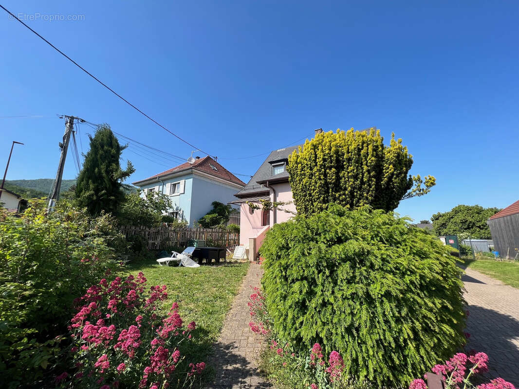 Appartement à WATTWILLER