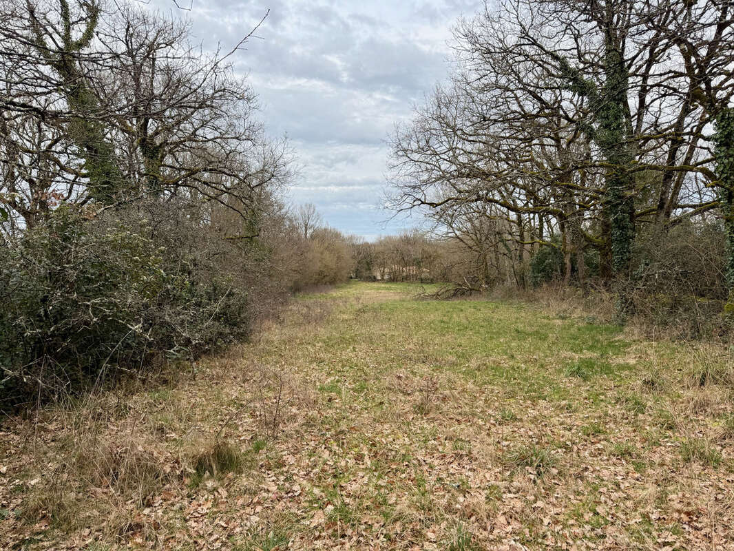 Terrain à VILLEFRANCHE-DE-ROUERGUE
