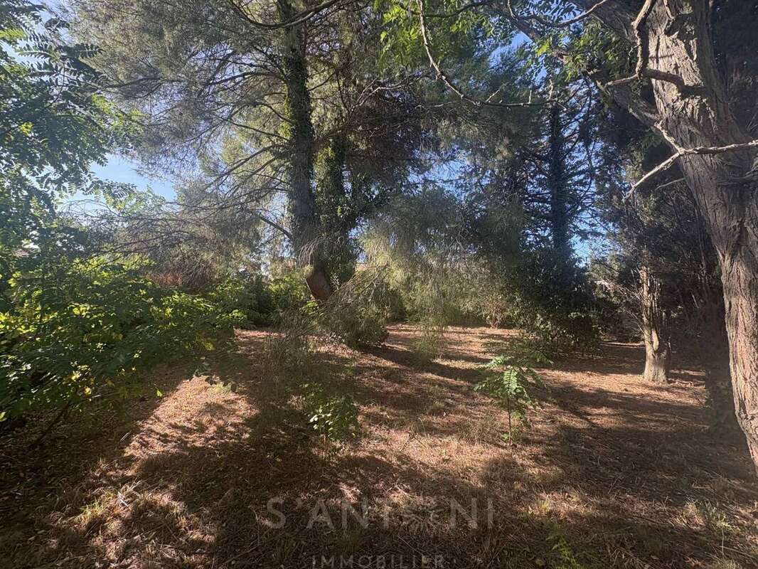 Terrain à MONTBAZIN