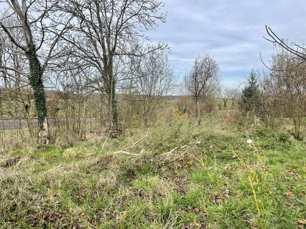 Terrain à COUSANCES-LES-TRICONVILLE