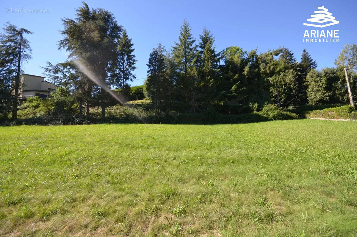 Terrain à viabiliser- 2500 m2 constructible - vente en 1 lot - photo 4
